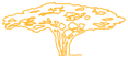 4 FAIRNESS_Like a Tree_20 x 46_1pt yellow_RGB
